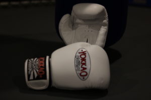 1 300x200 - Yokkao Matrix 10 oz. White Boxing Glove Review