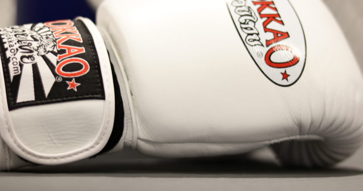 4 720x380 - Yokkao Matrix 10 oz. White Boxing Glove Review