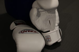 6 300x200 - Yokkao Matrix 10 oz. White Boxing Glove Review