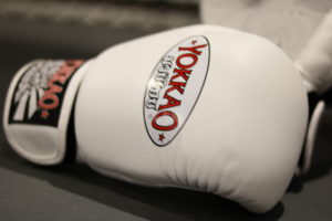 7 300x200 - Yokkao Matrix 10 oz. White Boxing Glove Review
