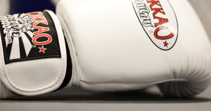 Matrix Black Boxing Gloves