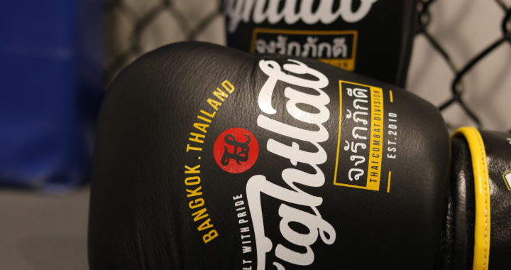 06 720x380 - Fightlab 16 oz. Muay Thai glove Review