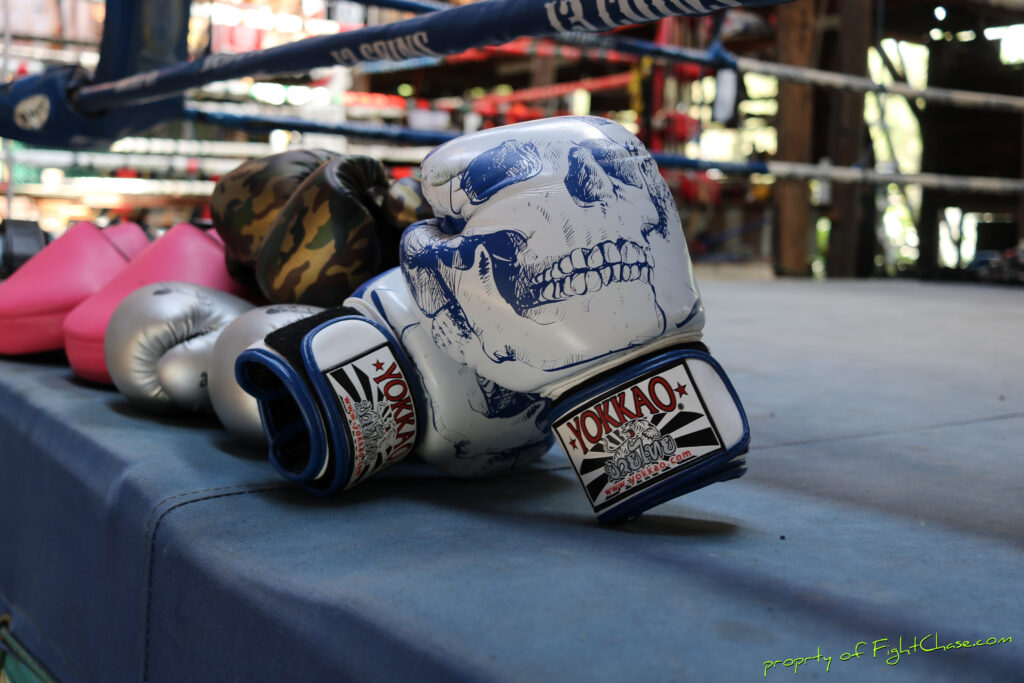 2313 coins 36 1024x683 - YOKKAO Skullz Muay Thai Boxing Gloves 10oz.