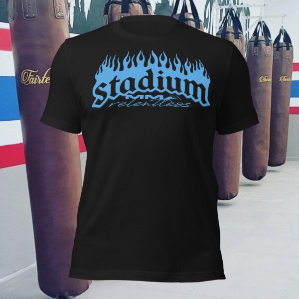 HB Stadium - Image 4