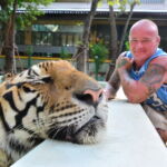 924265676 - Tiger Kingdom (Phuket , Thailand)