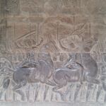2423751067 - Siem Reap ( Cambodia )