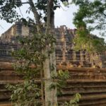 1831516341 - Siem Reap ( Cambodia )