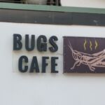 3444203699 - Siem Reap ( Cambodia )